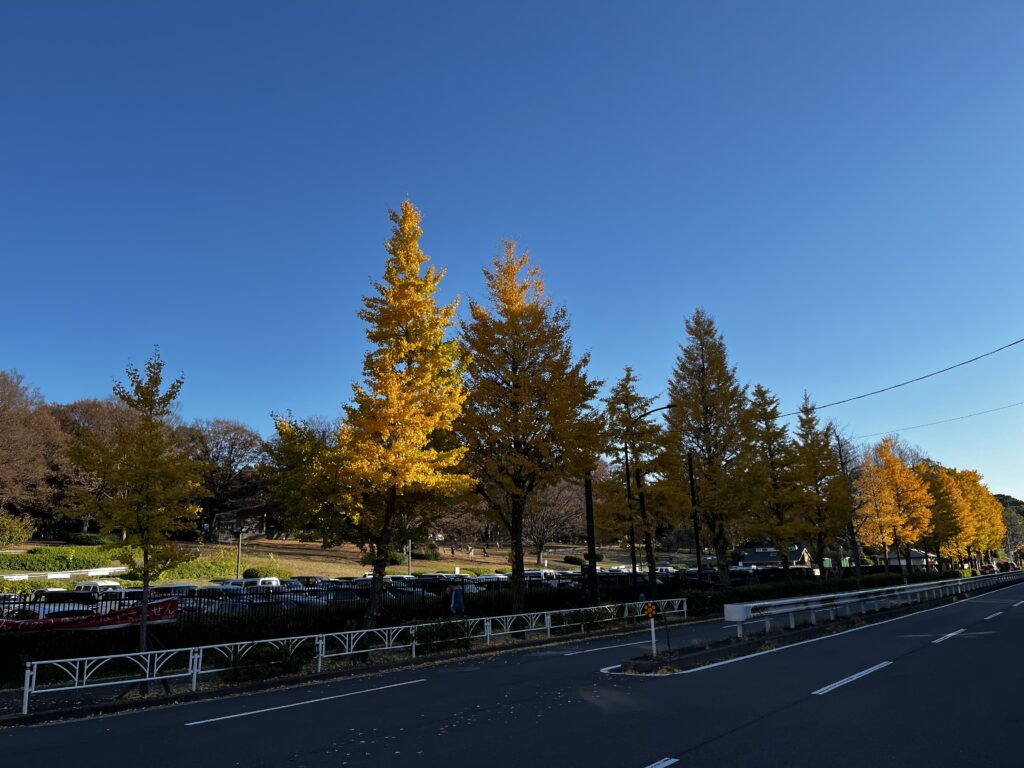 代々木公園駐車場